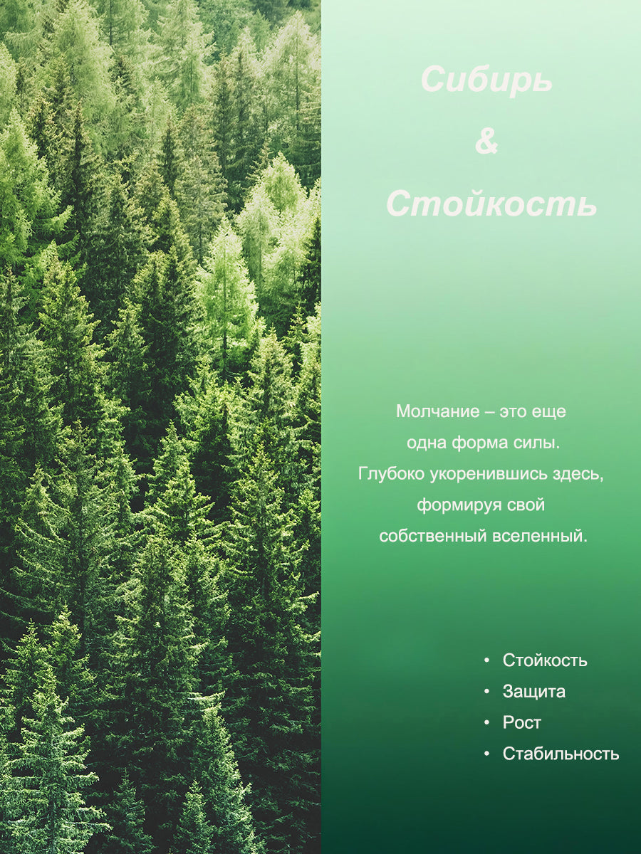 Сибирь & Стойкость