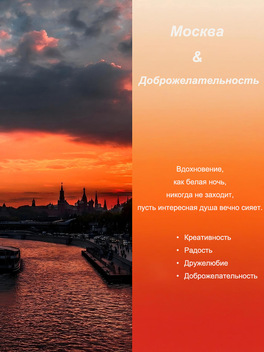 The Aura очки солнцезащитные N6209P06