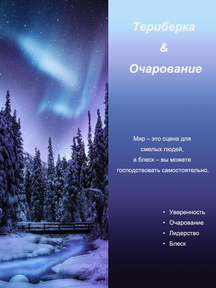 The Aura очки солнцезащитные H8565P05