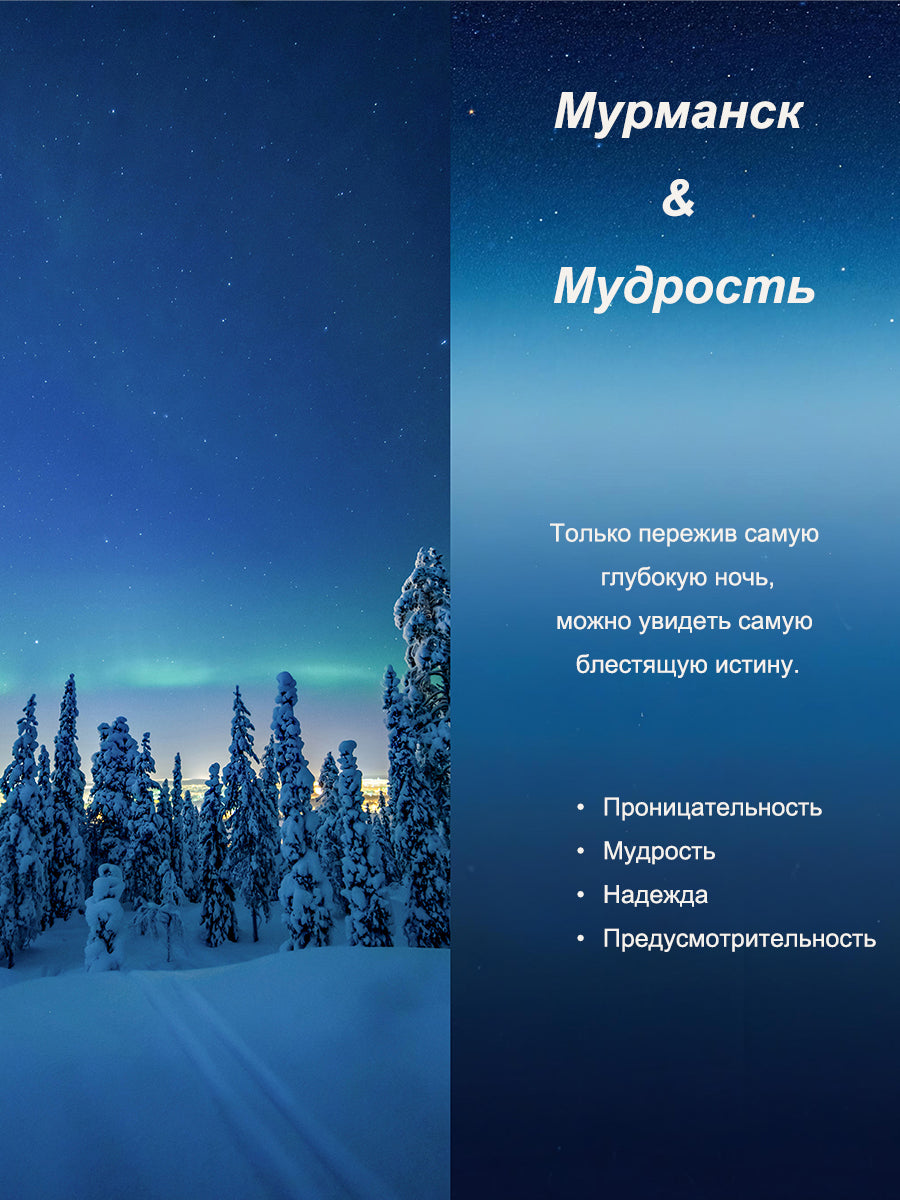 The Aura очки солнцезащитные WY2425C2